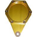 Picture of Tax Disc Holder Hexagon Gold 6 Studs