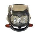 Picture of Headlight Twin + Fairing including Indicators Carbon Look