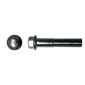 Picture of Bolts Chrome Hexagon 10mm x 40mm (12mm Spanner Size)(pitch 1.25mm) (Per 10)