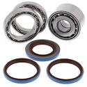 Picture of WRP Differential Bearing and Seal Kit Rear Yamaha YFM350 Grizzly IRS 07-11, YFM400 Big Bear IRS 07-12, YFM450 Grizzly IRS 08-10