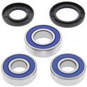 Picture of Wheel Bearing Kit Rr Suz DR650SE 96-20, XF650 FREEWIND (Euro) 97-01